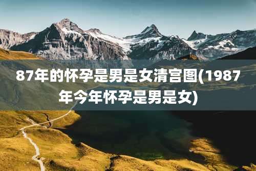 87年的怀孕是男是女清宫图(1987年今年怀孕是男是女)