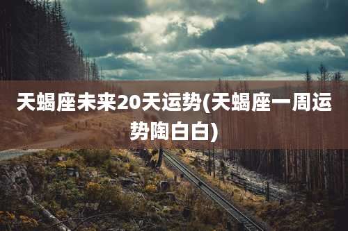 天蝎座未来20天运势(天蝎座一周运势陶白白)