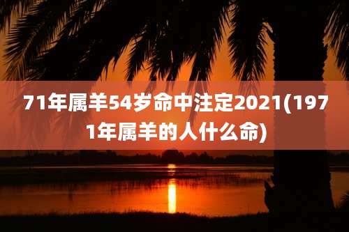 71年属羊54岁命中注定2021(1971年属羊的人什么命)