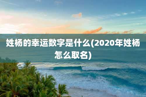 姓杨的幸运数字是什么(2020年姓杨怎么取名)