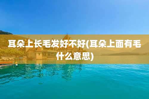 耳朵上长毛发好不好(耳朵上面有毛什么意思)