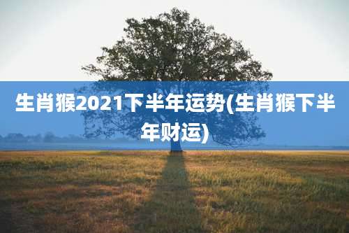 生肖猴2021下半年运势(生肖猴下半年财运)