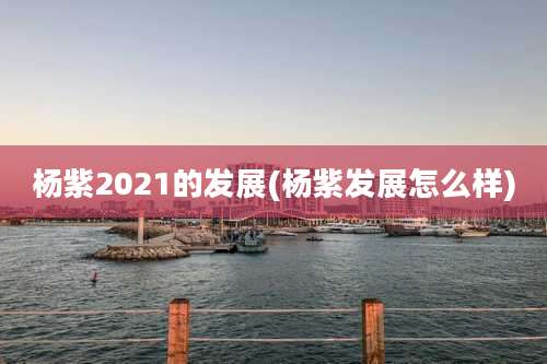 杨紫2021的发展(杨紫发展怎么样)