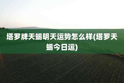 塔罗牌天蝎明天运势怎么样(塔罗天蝎今日运)