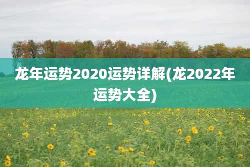 龙年运势2020运势详解(龙2022年运势大全)