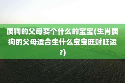 属狗的父母要个什么的宝宝(生肖属狗的父母适合生什么宝宝旺财旺运?)