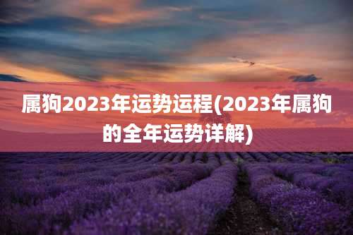 属狗2023年运势运程(2023年属狗的全年运势详解)