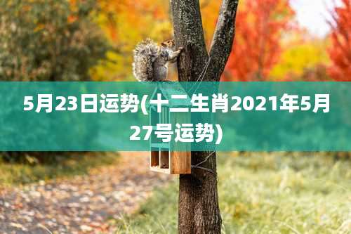 5月23日运势(十二生肖2021年5月27号运势)