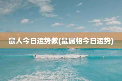 鼠人今日运势数(鼠属相今日运势)