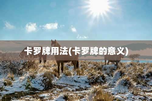 卡罗牌用法(卡罗牌的意义)