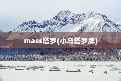 mass塔罗(小马塔罗牌)