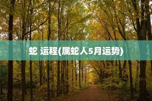 蛇 运程(属蛇人5月运势)