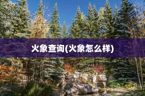 火象查询(火象怎么样)