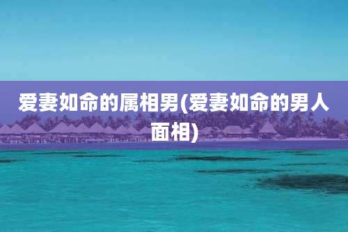 爱妻如命的属相男(爱妻如命的男人面相)