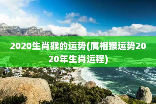 2020生肖猴的运势(属相猴运势2020年生肖运程)
