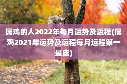 属鸡的人2022年每月运势及运程(属鸡2021年运势及运程每月运程第一星座)
