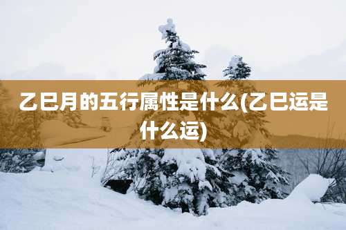 乙巳月的五行属性是什么(乙巳运是什么运)