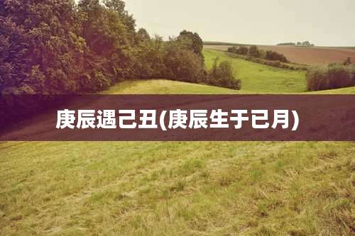 庚辰遇己丑(庚辰生于已月)