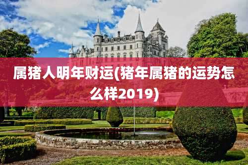 属猪人明年财运(猪年属猪的运势怎么样2019)