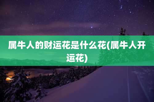 属牛人的财运花是什么花(属牛人开运花)