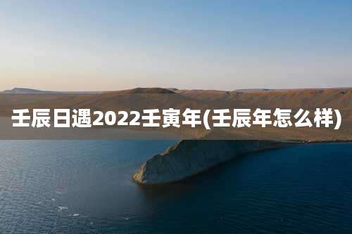 壬辰日遇2022壬寅年(壬辰年怎么样)