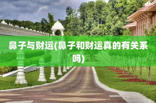 鼻子与财运(鼻子和财运真的有关系吗)