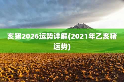 亥猪2026运势详解(2021年乙亥猪运势)