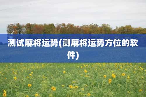 测试麻将运势(测麻将运势方位的软件)