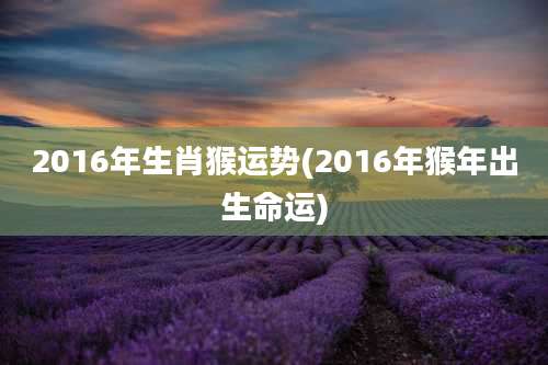 2016年生肖猴运势(2016年猴年出生命运)