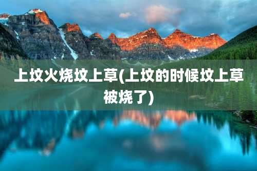 上坟火烧坟上草(上坟的时候坟上草被烧了)
