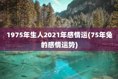 1975年生人2021年感情运(75年兔的感情运势)