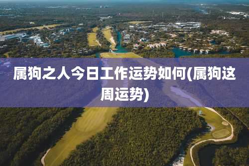 属狗之人今日工作运势如何(属狗这周运势)