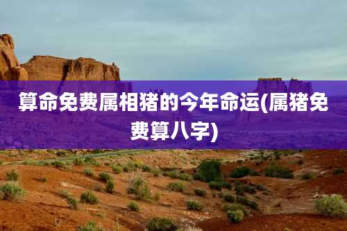 算命免费属相猪的今年命运(属猪免费算八字)
