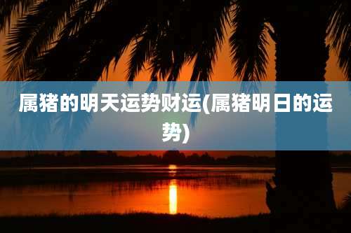 属猪的明天运势财运(属猪明日的运势)