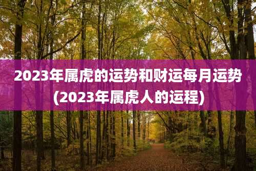 2023年属虎的运势和财运每月运势(2023年属虎人的运程)