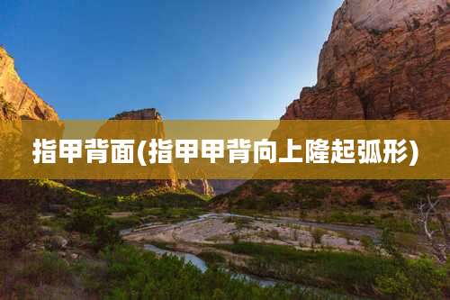 指甲背面(指甲甲背向上隆起弧形)