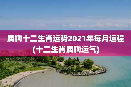属狗十二生肖运势2021年每月运程(十二生肖属狗运气)