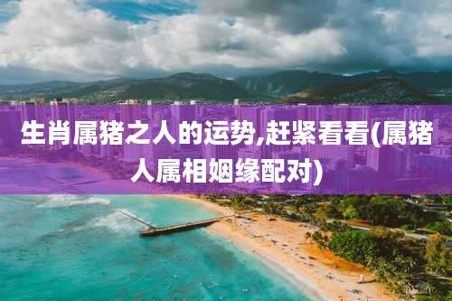 生肖属猪之人的运势,赶紧看看(属猪人属相姻缘配对)