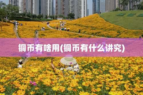 铜币有啥用(铜币有什么讲究)