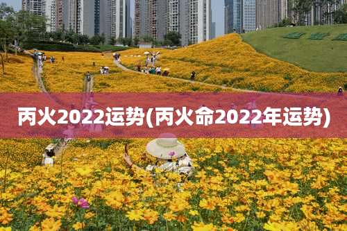 丙火2022运势(丙火命2022年运势)