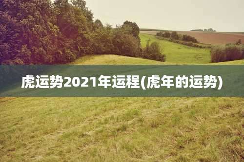 虎运势2021年运程(虎年的运势)