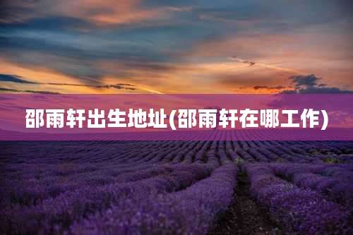 邵雨轩出生地址(邵雨轩在哪工作)