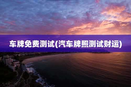 车牌免费测试(汽车牌照测试财运)