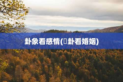 卦象看感情(夬卦看婚姻)