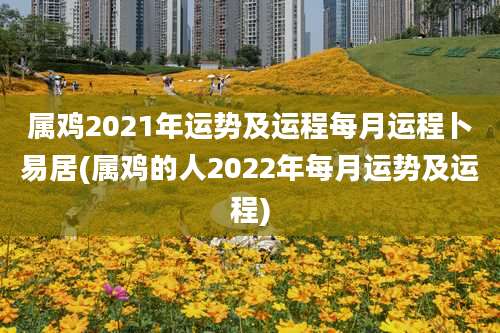 属鸡2021年运势及运程每月运程卜易居(属鸡的人2022年每月运势及运程)