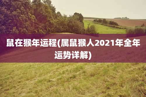 鼠在猴年运程(属鼠猴人2021年全年运势详解)