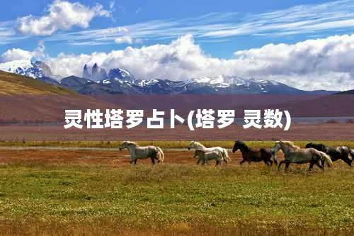 灵性塔罗占卜(塔罗 灵数)