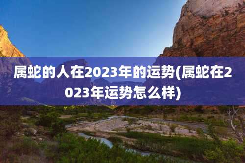 属蛇的人在2023年的运势(属蛇在2023年运势怎么样)