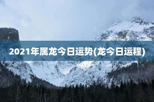 2021年属龙今日运势(龙今日运程)