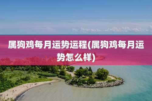 属狗鸡每月运势运程(属狗鸡每月运势怎么样)